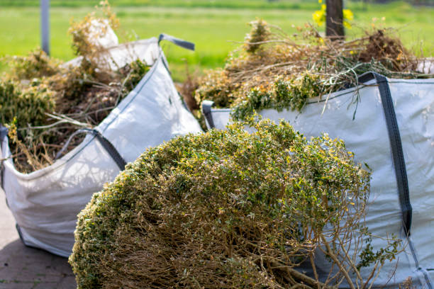 Best Appliance Removal Near Me  in Lipatria, CA